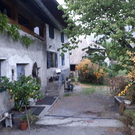 Domaine De La Safraniere - Chambre D'Hote Saint-Léger Eksteriør bilde