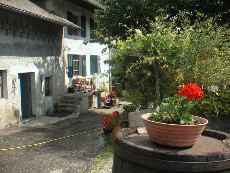 Domaine De La Safraniere - Chambre D'Hote Saint-Léger Eksteriør bilde