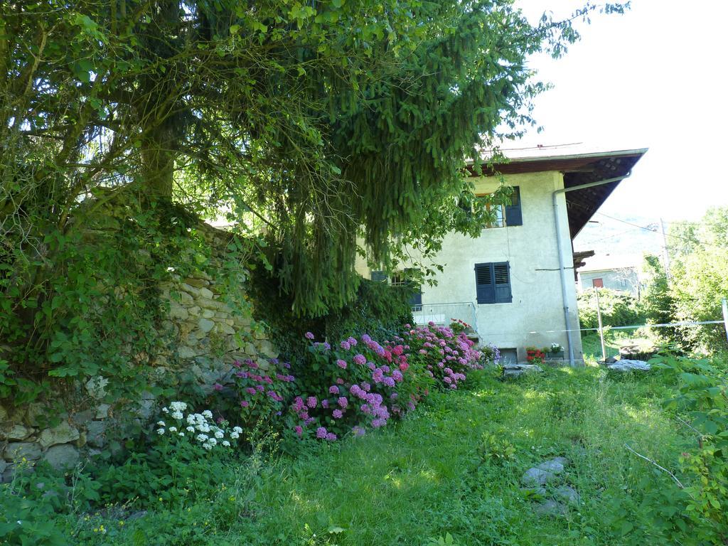Domaine De La Safraniere - Chambre D'Hote Saint-Léger Eksteriør bilde