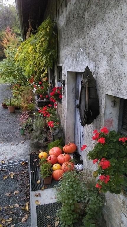 Domaine De La Safraniere - Chambre D'Hote Saint-Léger Eksteriør bilde