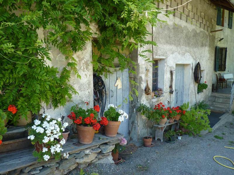 Domaine De La Safraniere - Chambre D'Hote Saint-Léger Eksteriør bilde